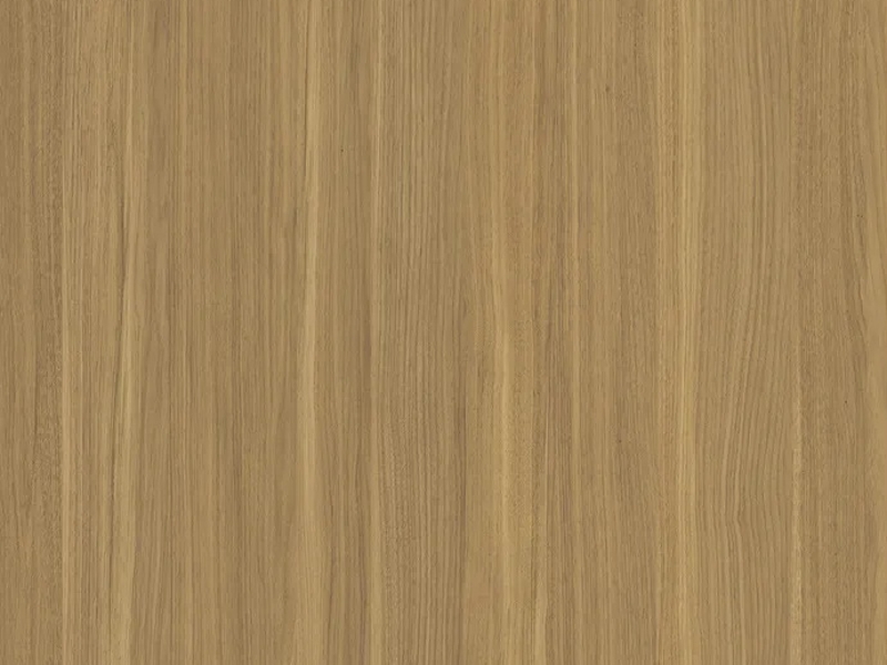 Hampton Inn Kinetic Scheme